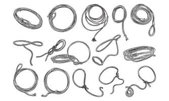 cowboy lasso handdrawn collection vector