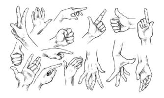 gesture hands handdrawn collection vector