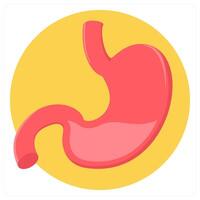 Stomach and medical icon concept vector