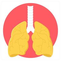 Lungs and heart care icon concept vector