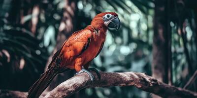 Red parrot perched on a branch in lush forest. photo