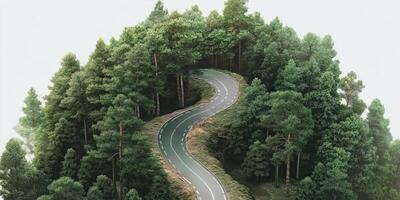 Winding road through a lush green forest photo