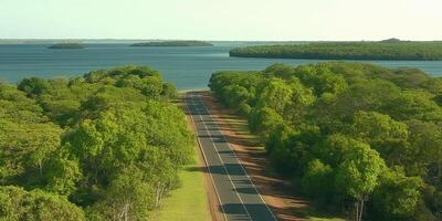 Scenic coastal road through lush greenery photo