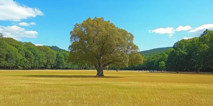 Solitary tree in golden field, summer day photo