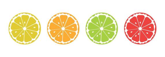 Citrus fruits set. Collection of lemon, orange, lime and grapefruit icons. vector