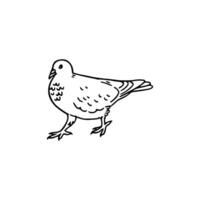 A drawing of a bird on a white background vector