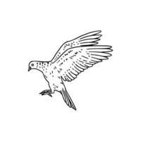 A drawing of a bird flying in the air vector