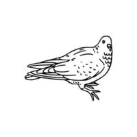 A black and white drawing of a pigeon vector