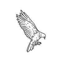 A drawing of a bird flying in the air vector