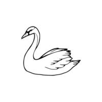 A black and white drawing of a swan vector