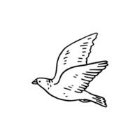 A black and white drawing of a flying dove vector