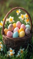 Wicker basket brimming with colorful easter eggs and daffodils in spring garden photo