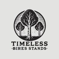 Timeless Birch Stands Tree Logo vector