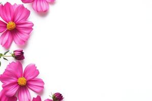 Colorful pink flowers arranged on a white background create a vibrant and fresh atmosphere for spring celebrations photo