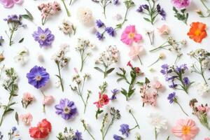Colorful array of spring flowers beautifully arranged on a white background photo