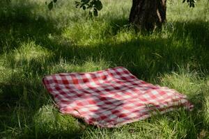 Blanket on grass under a tree creates a cozy picnic spot in a sunny park setting photo
