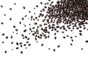 Dark roasted coffee beans scattered on a white surface showcasing rich texture and color photo
