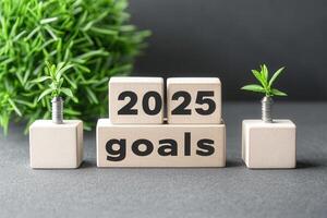 Wooden blocks display the year 2025 and the word goals, surrounded by small plants. The setting emphasizes growth and ambition, suggesting a bright future ahead. photo