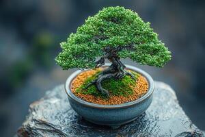 A vibrant bonsai tree stands elegantly in a decorative pot filled with soil and moss. The tree features lush green leaves and a gnarled trunk, resting on a textured rock. photo