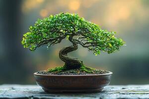A beautifully styled bonsai tree with vibrant green leaves and a twisting trunk rests in a brown pot. The serene garden background includes soft, blurred colors that evoke tranquility at dusk. photo