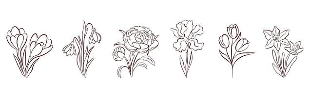 Spring flower line art set with crocus, snowdrop, peony, iris, tulip, and daffodil. Elegant botanical collection for design, print and decoration. Isolated on white background. vector