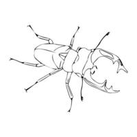Stag beetle in doodle style. illustration isolated on white background. vector