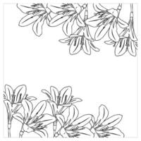 Frame with lilies in doodle style. Element for your design. illustration isolated on white background. vector