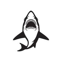 Aggressive Shark Illustration with Open Mouth and Sharp Teeth vector