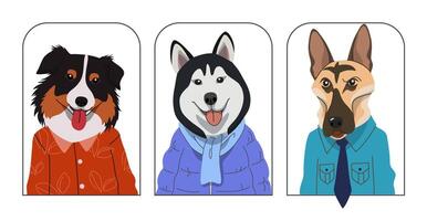 Set of cute dogs wearing clothes on white background, Cute and friendly pet in hand drawn style, with Australian shepherd, Siberian husky, German shepherd. design illustration. vector