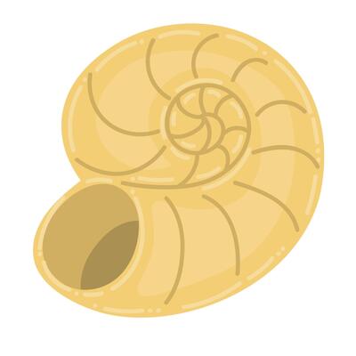 Cute cartoon empty sea shell isolated on white background. Ocean animal.