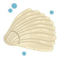 Cute cartoon empty sea shell isolated on white background. Ocean animal. vector