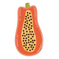 Cute cartoon half of ripe papaya in flat style. Tropical fruit isolated on white background. vector