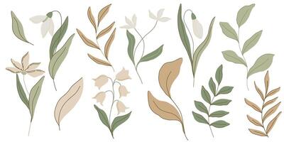 Elegant botanical flat illustration with soft green leaves and pastel pink flowers, lilies of the valley and snowdrops. Minimalist design with a muted color palette, perfect for spring decor vector