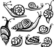 Decorative Stylized Contour Snail vector