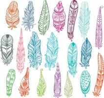 Decorative Feather, line illustration vector