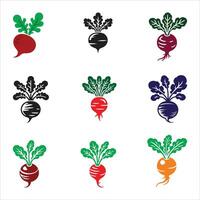 A set of beetroot icons vector