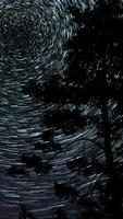 Time lapse of comet-shaped star trails over the forest in the night sky. Stars move around a polar star, vertical footage video