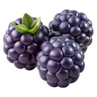 3D Render of Three Blackberries with Leaves png