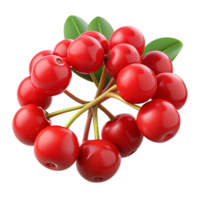 3D Render of Red Berries Cluster png