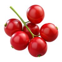 3D Render of Red Berries on a Branch png