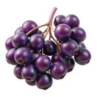 3D Render of Dark Purple Berries Cluster png