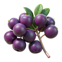 3D Render of Purple Berries on Branch png