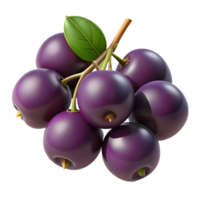 3D Illustration of Jaboticaba Fruit Cluster png