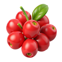 3D Render of Red Berries Cluster png
