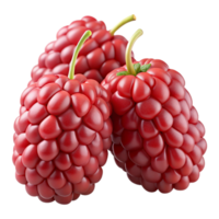 3D Render of Red Raspberries png