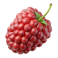 3D Render Red Raspberry Fruit Illustration png