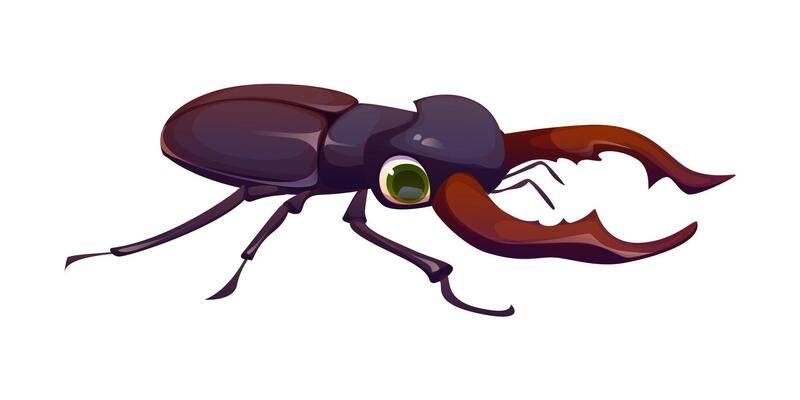 Cartoon funny stag beetle insect pest character