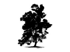Black Trees and root with leaves look beautiful and refreshing. Tree and roots LOGO style. vector