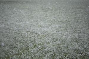 The first snow outside. The beginning of a snowstorm. Snow cover. A change in the weather. photo