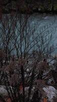 Turquoise river Arve flowing through chamonix valley in autumn, France in November video